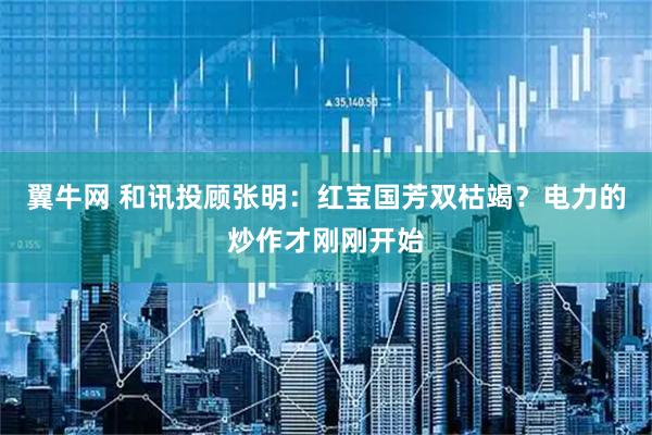 翼牛网 和讯投顾张明：红宝国芳双枯竭？电力的炒作才刚刚开始