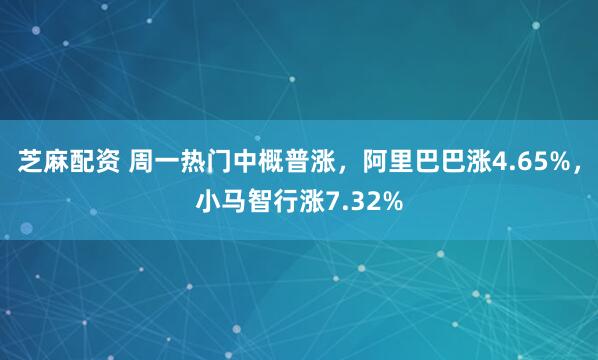 芝麻配资 周一热门中概普涨，阿里巴巴涨4.65%，小马智行涨7.32%