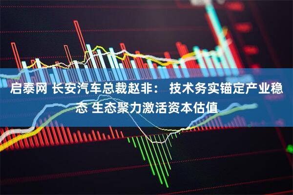 启泰网 长安汽车总裁赵非： 技术务实锚定产业稳态 生态聚力激活资本估值