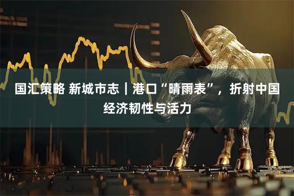 国汇策略 新城市志｜港口“晴雨表”，折射中国经济韧性与活力