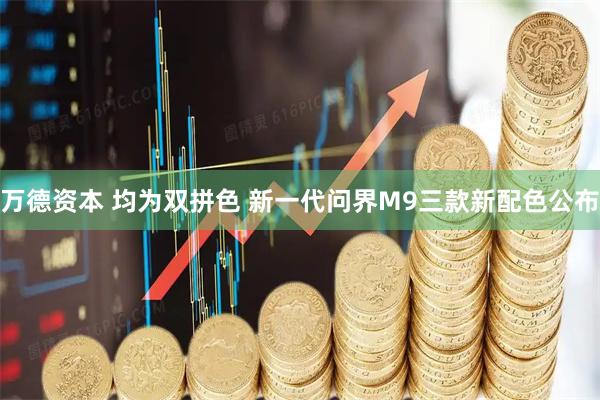 万德资本 均为双拼色 新一代问界M9三款新配色公布