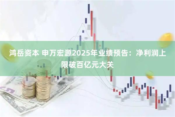 鸿岳资本 申万宏源2025年业绩预告：净利润上限破百亿元大关